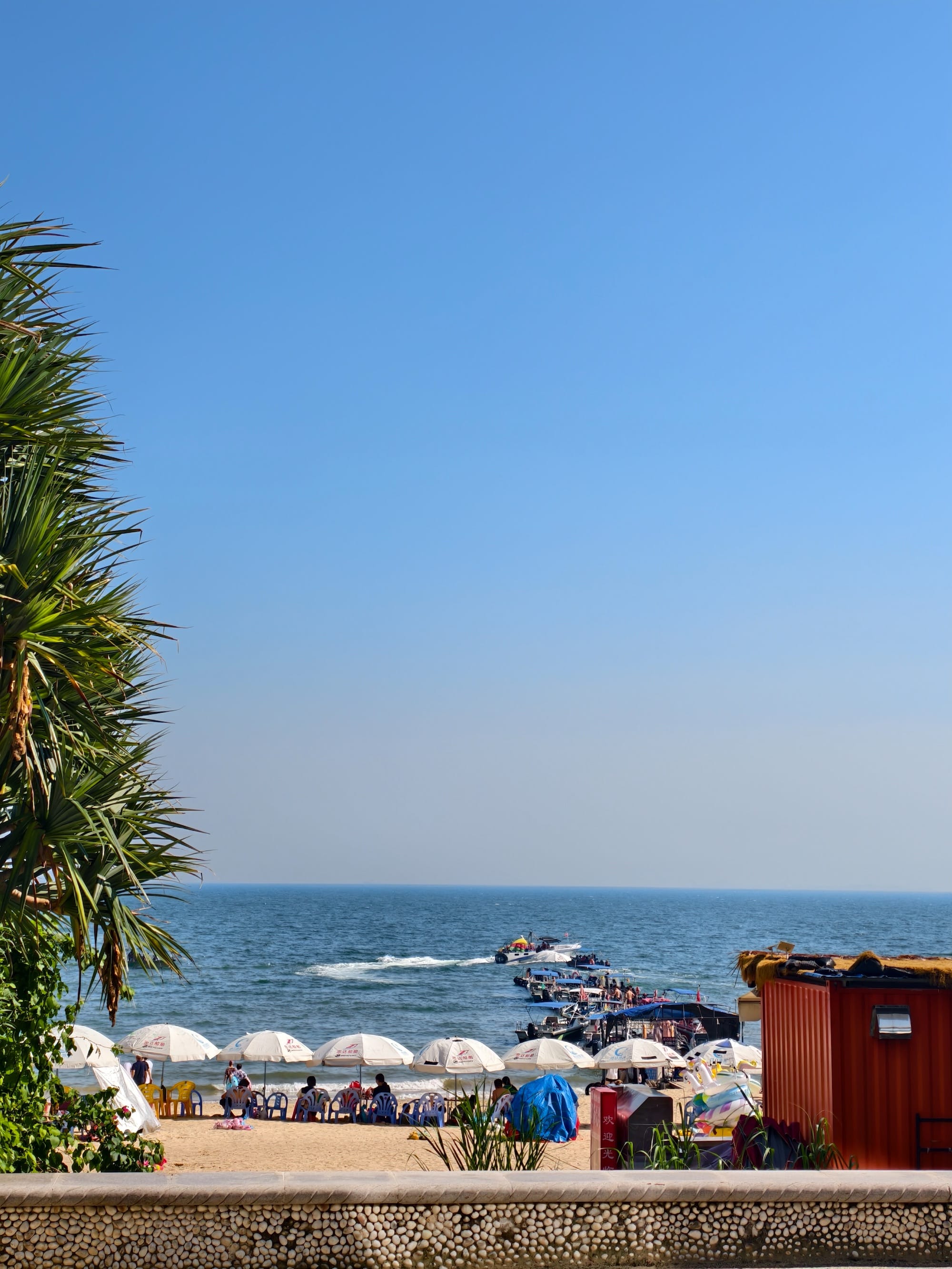 # 杂记 | 久违的更新